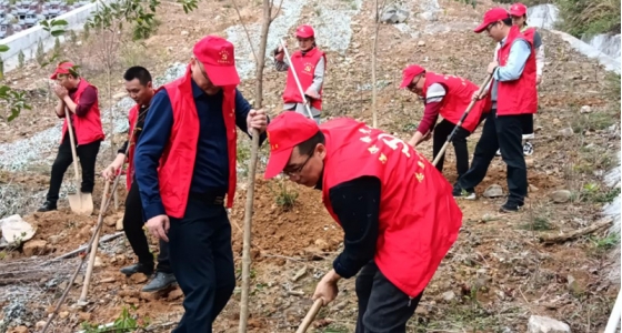 村企共建，共植先鋒林